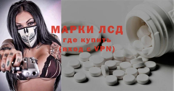 ПСИЛОЦИБИНОВЫЕ ГРИБЫ Алзамай