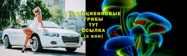 ПСИЛОЦИБИНОВЫЕ ГРИБЫ Алзамай