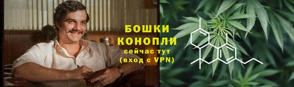 шишки Алексин