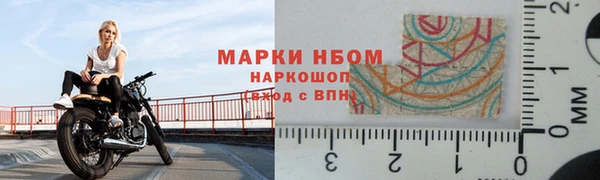 прущие грибы Армянск