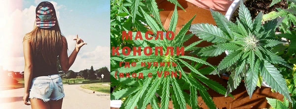 прущие грибы Армянск