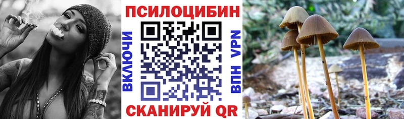 Купить закладки  Кашин  Галлюциногенные грибы GOLDEN TEACHER 